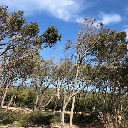 A Lavanda Maison Ferienhaus Bonifacio (Corsica)