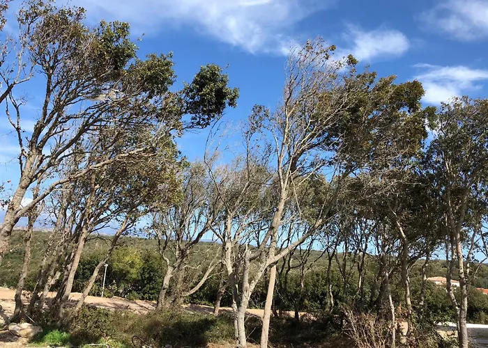 A Lavanda Maison Vakantiehuis Bonifacio (Corsica)